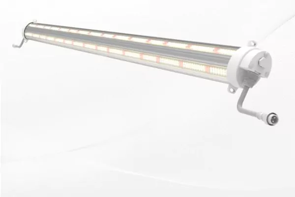 Inter Light Plus LED-Wachstumslampe
