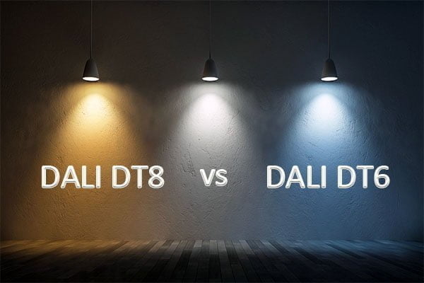 dt8 and dt6