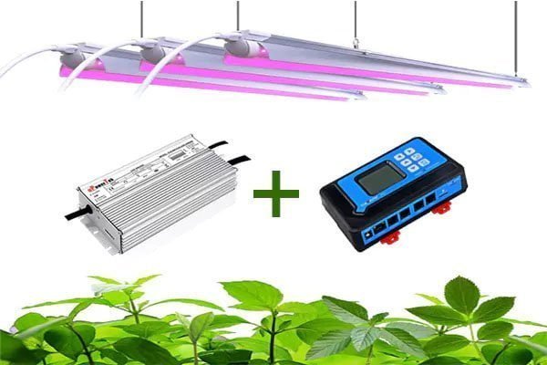how many grow lights can a 0 10v dimmer control